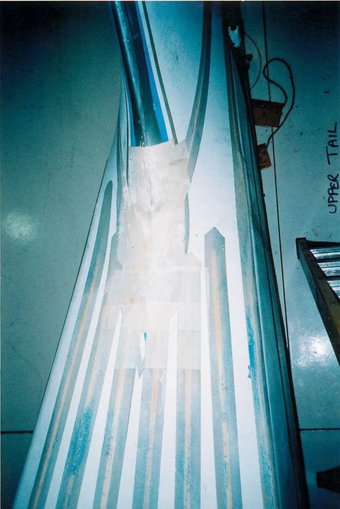 Tail, before restoration