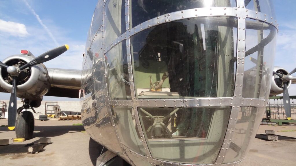 Image of a small stuffed dinosaur in the front of our Consolidated Privateer